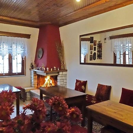 Traditional Guesthouse Alkistis Загори Экстерьер фото
